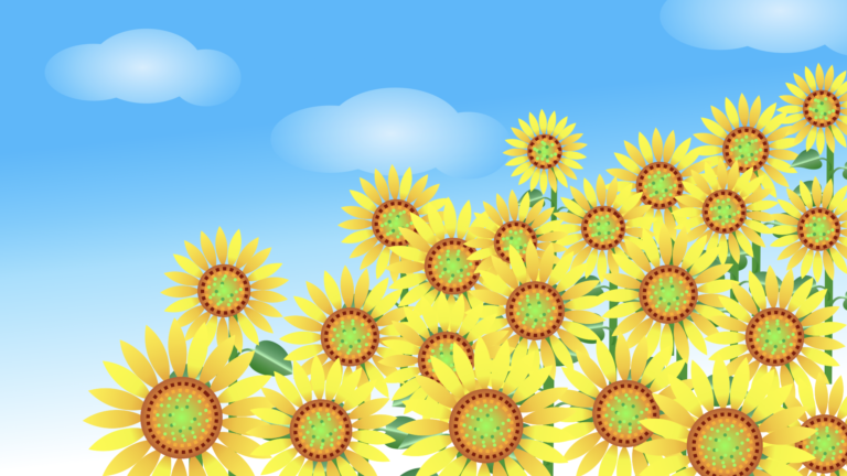 動画追加しております！