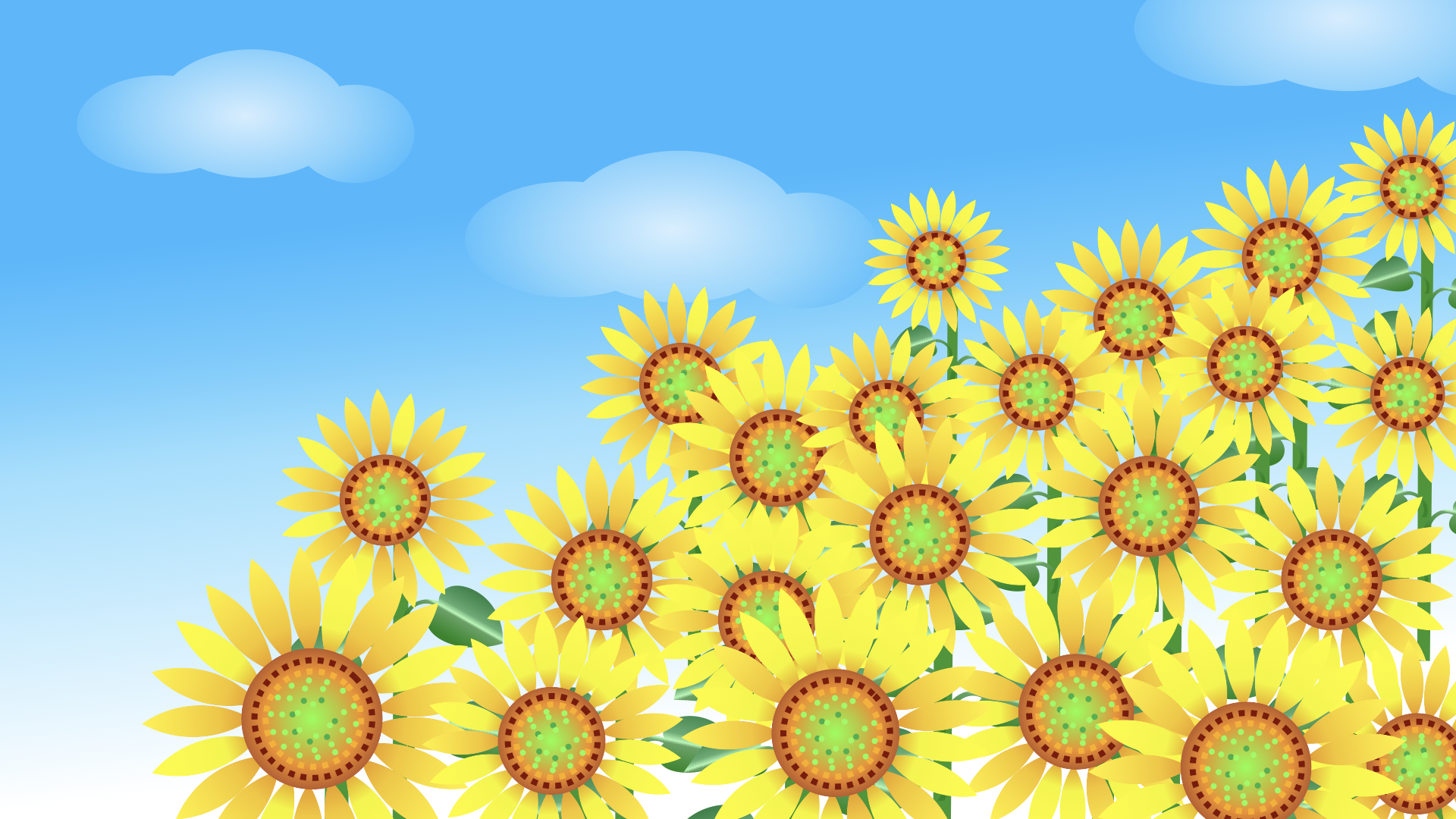 動画追加しております！