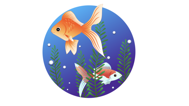 金魚イラスト動画とバジルの種とり動画