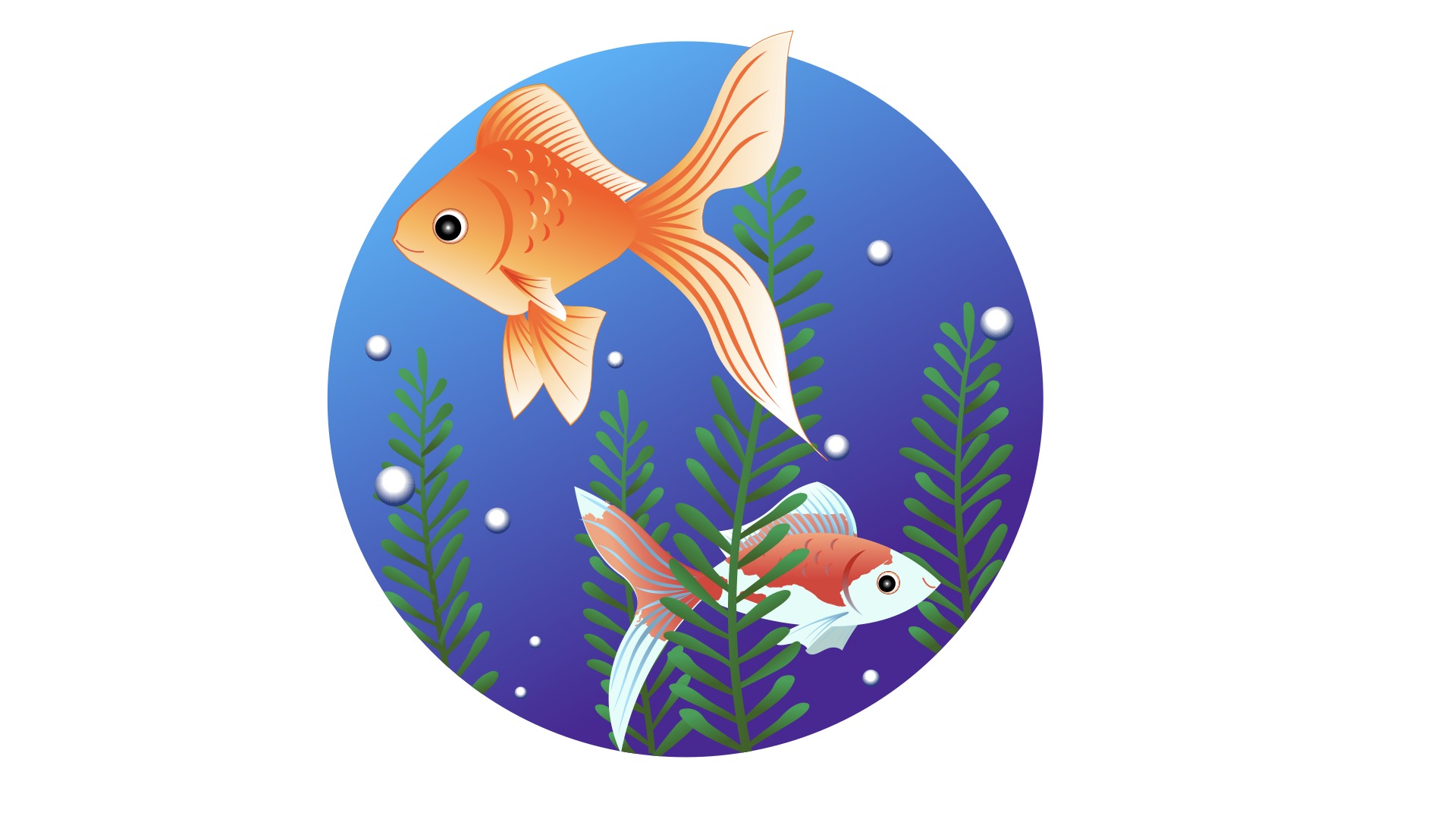 金魚イラスト動画とバジルの種とり動画