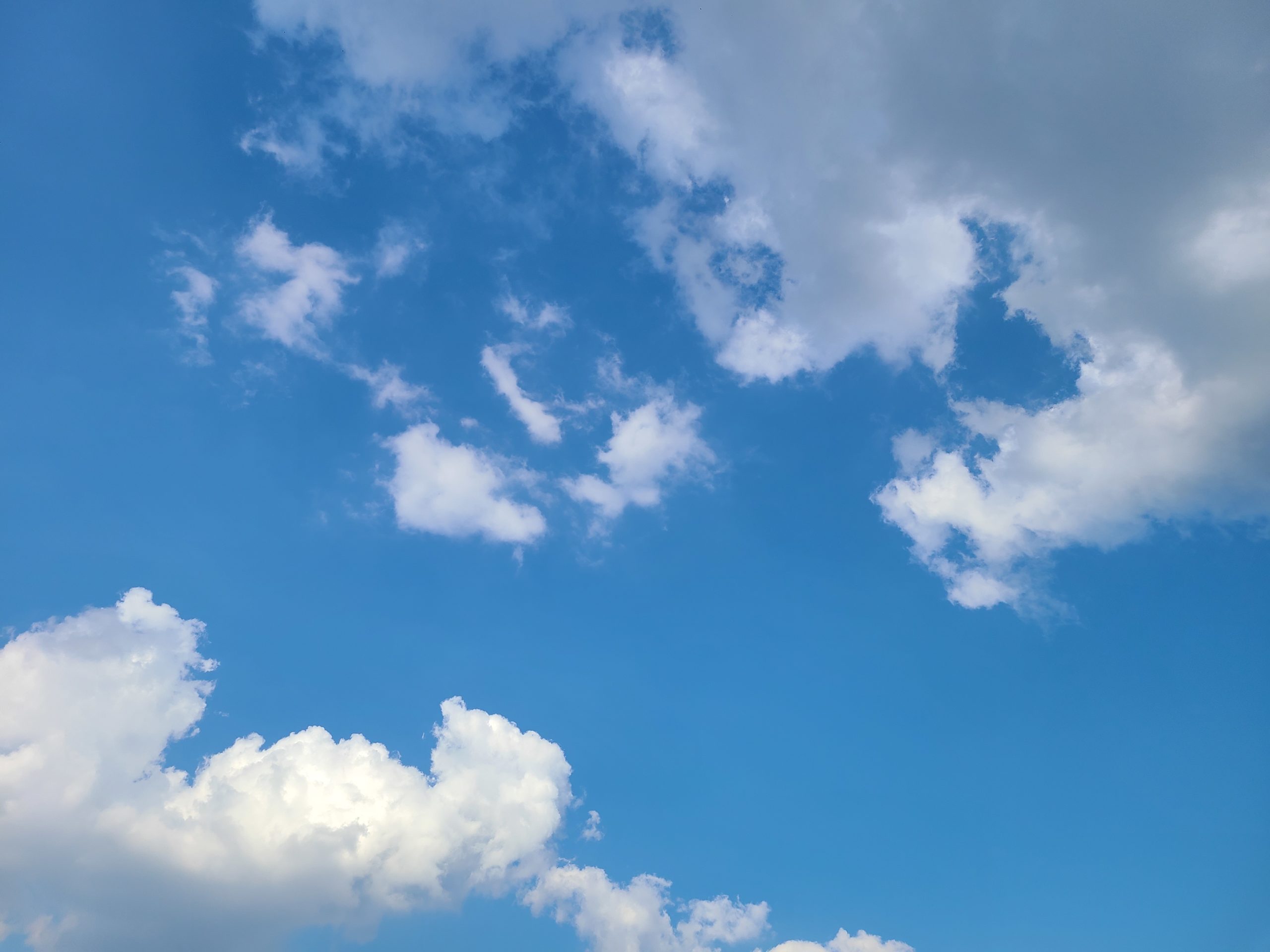 2曲目にも歌が入りました！