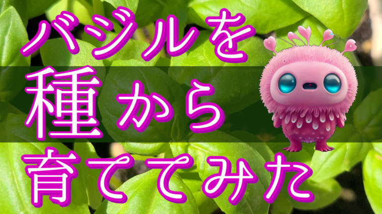 やっとできた動画です～