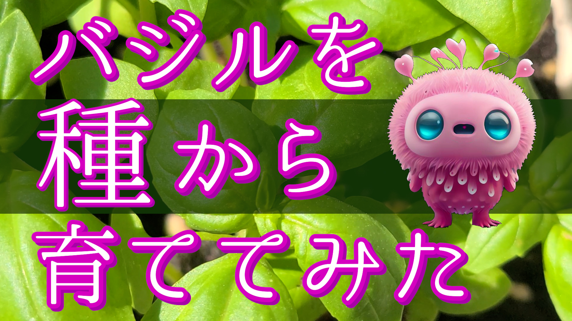 やっとできた動画です～