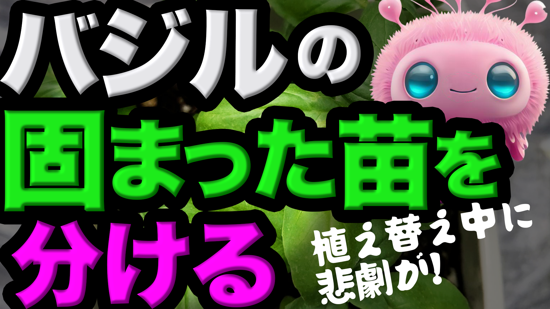 アナイトヲカシの動画