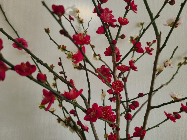 明日2月24日午後4時~ライブします！